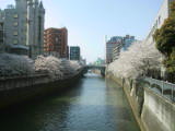 030406 008.jpg